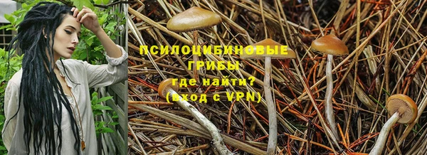 mix Баксан