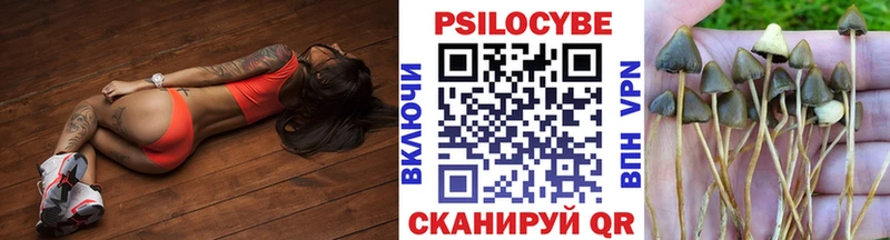 Галлюциногенные грибы мицелий  shop официальный сайт  Щёлкино  хочу  